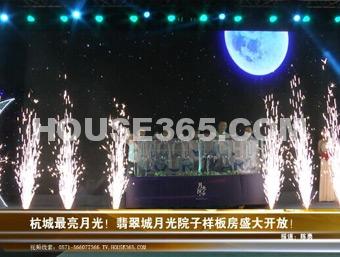 翡翠城视频图