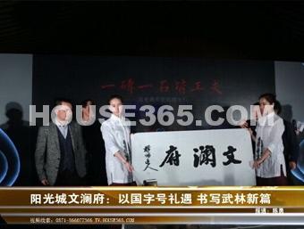 阳光城文澜府视频图