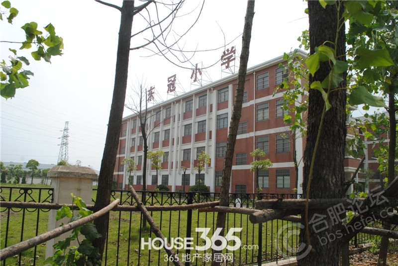 文一名门绿洲
