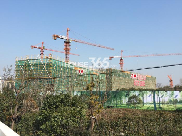 融创河滨之城东区1、2号楼施工进程图（2015.2）