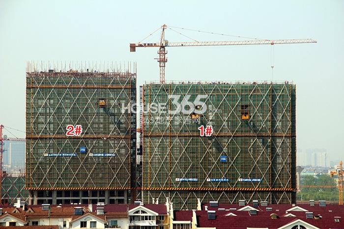 绿城九龙仓钱塘明月1、2号楼施工进度 2015年4月摄