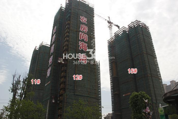 农房尚海湾11、12、15号楼实景图 2015年5月摄