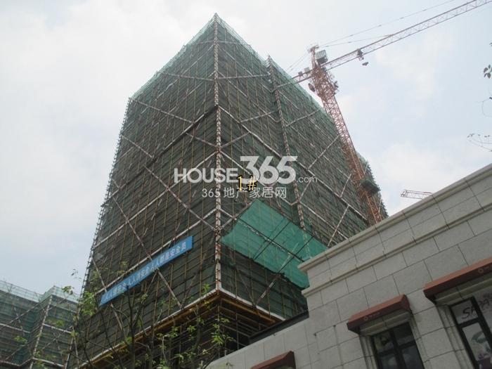 中旅城仕公馆1号楼施工实景图 2015年5月摄