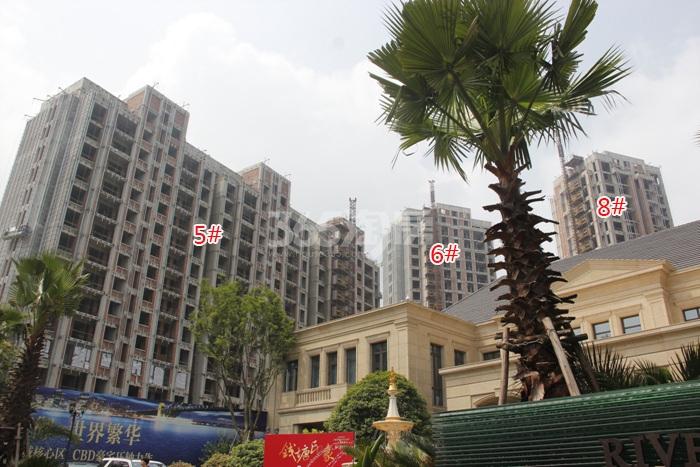2015年7月滨江钱塘印象项目实景--5、6、8号楼