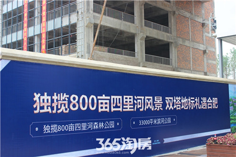 金龙国际最新动态