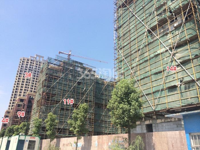 2015年8月恒基旭辉府项目实景--3、4、9、11、14号楼