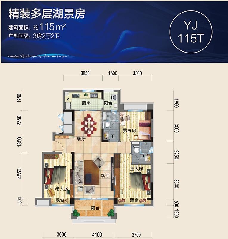 碧桂园天玺湾yj115t户型图