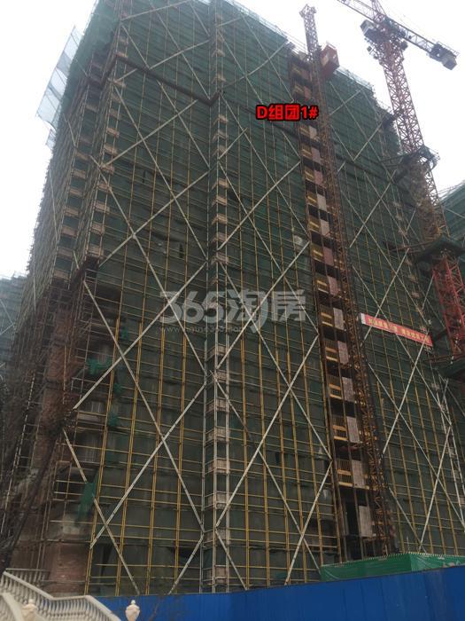 西溪海D组团1号楼施工进程图（2015.9）