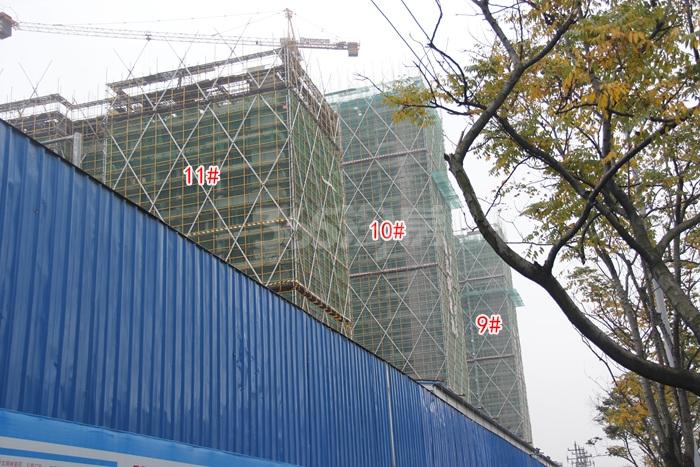 滨江华家池9、10、11号楼施工进度实景图 2015年11月摄