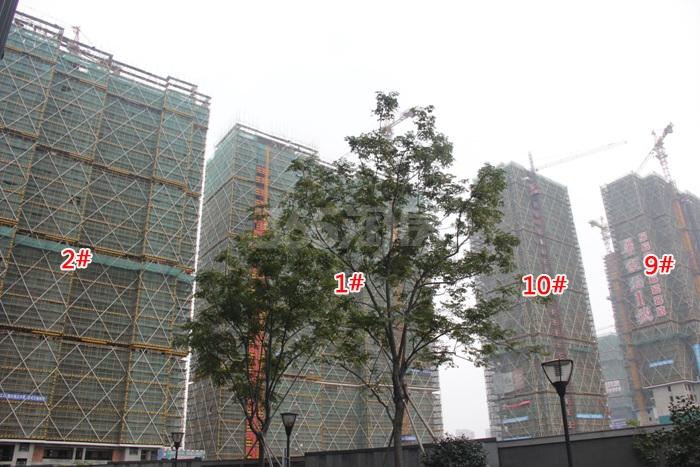 绿地华家池印项目1、2、9、10号楼施工实景图 2015年11月摄 