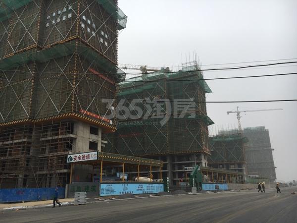 绿地悦峰公馆工程进展实景图（12.23）