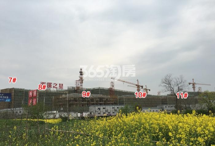 滨江西溪之星7—11号楼施工进程图（2016.3）