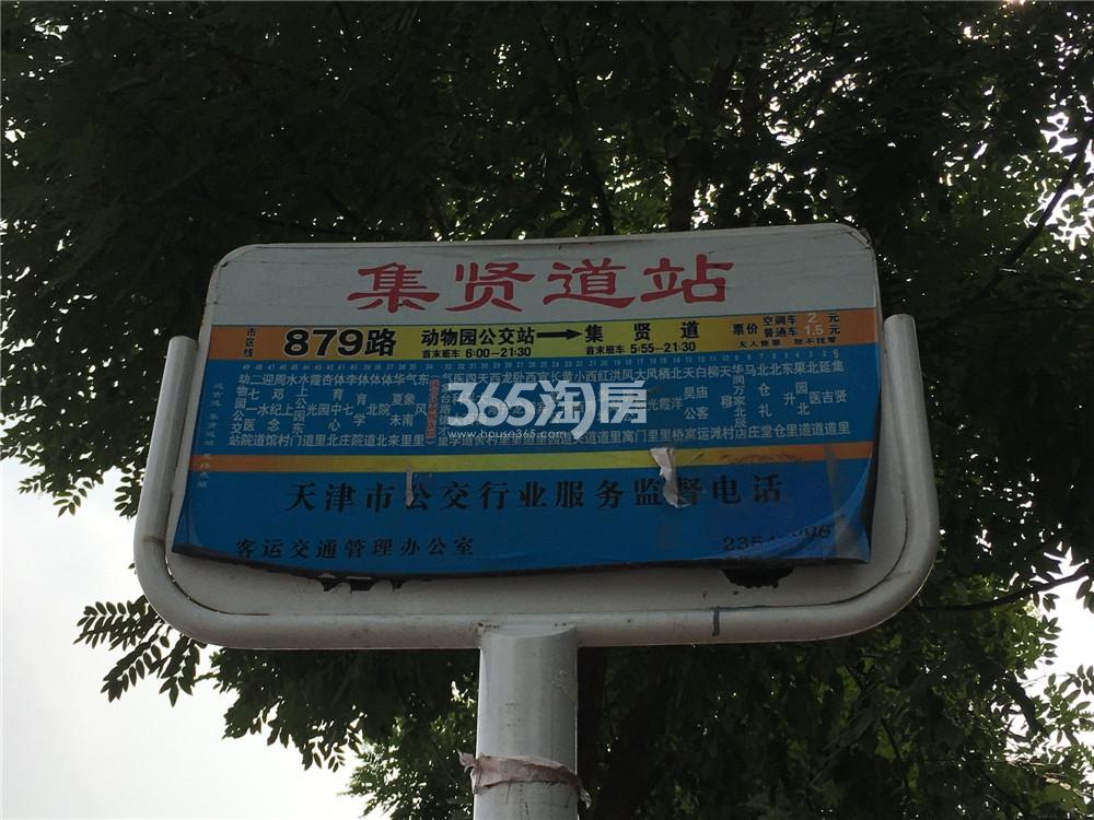 实景图