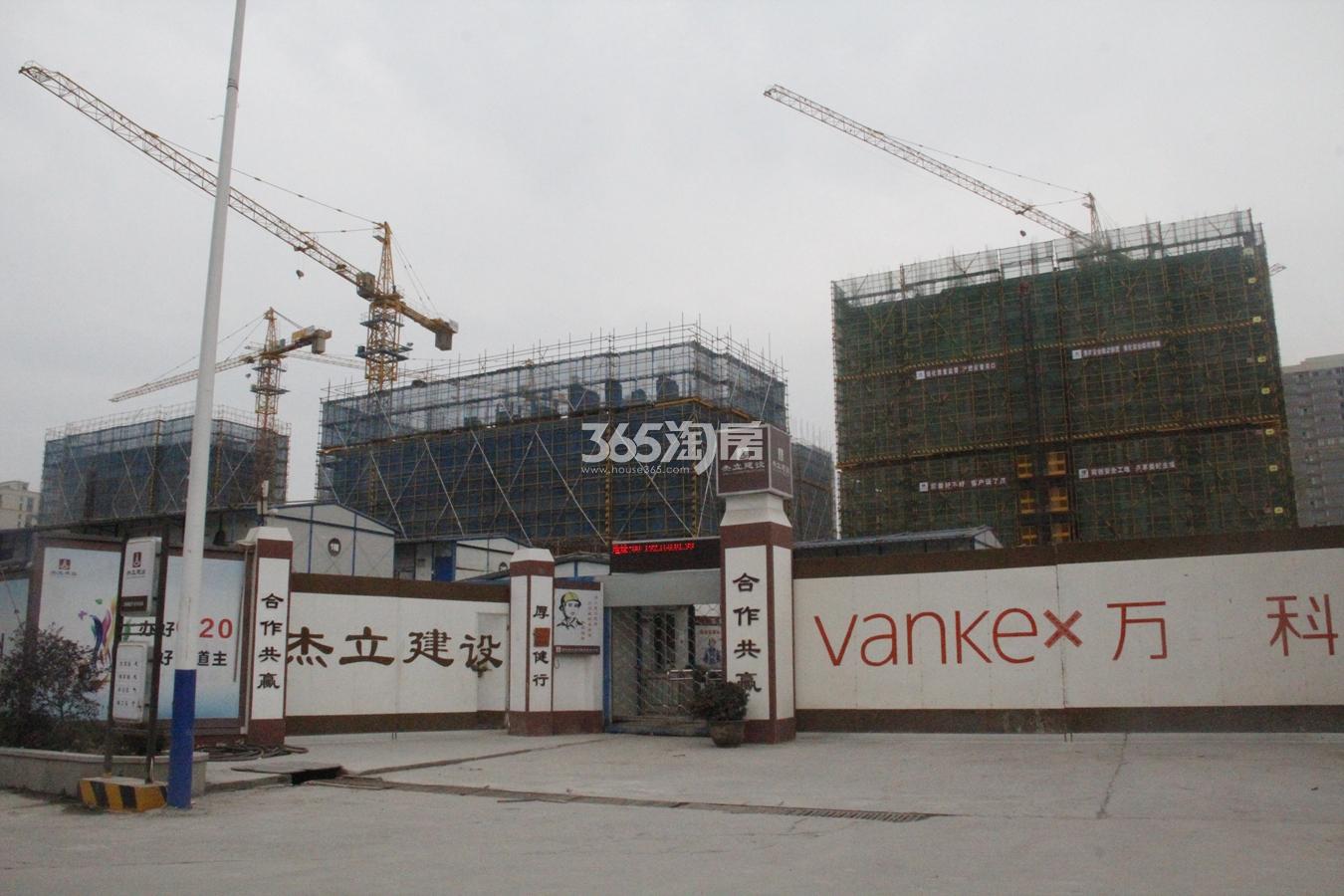 蜂鸟骑士专属手机卡怎么样-蜂鸟骑士专属手机卡怎么样